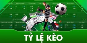 Tìm hiểu khái niệm tỷ lệ cá cược cho người chơi mới